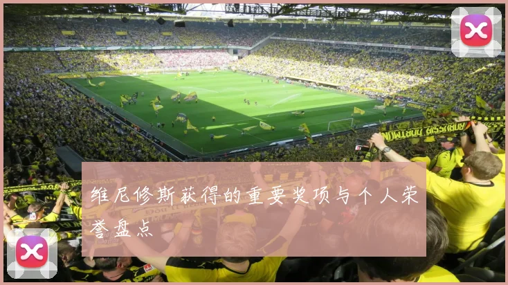 维尼修斯获得的重要奖项与个人荣誉盘点